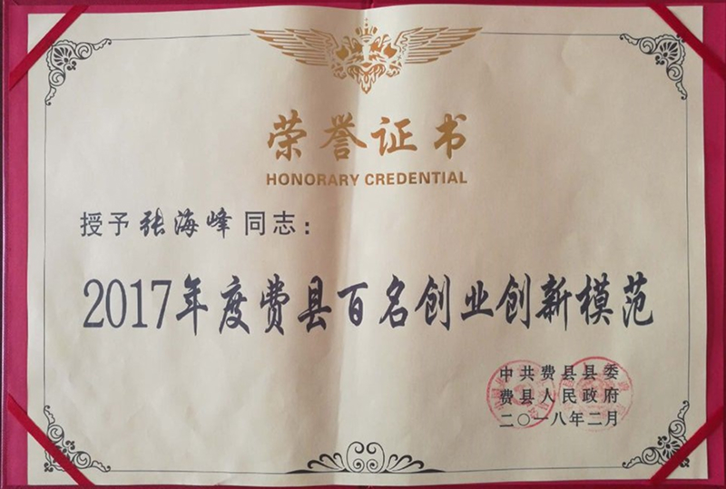 2017年度費縣百名創業創新模范-1.jpg